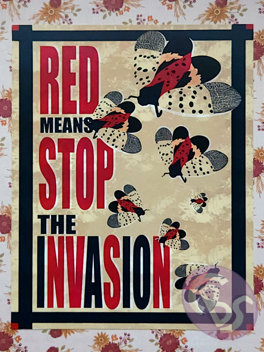 Lanternfly Print 8x10